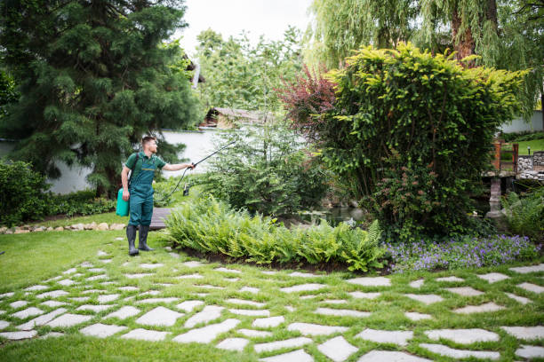 Trusted Courtland, VA Tree Services Experts