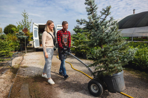 Best Arborist Consultation Services  in Courtland, VA